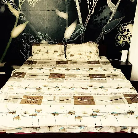 Homestay Arghezi Guest *